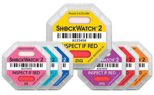 INDICATORI D'URTO SHOCKWATCH 2