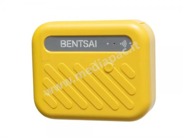 MINI MARCATORE MANUALE BENTSAI B10
